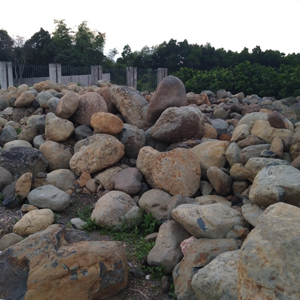 Các loại đá thường dùng thi công hồ cá Koi sân vườn - Mỹ Thuật Sài Gòn JSC