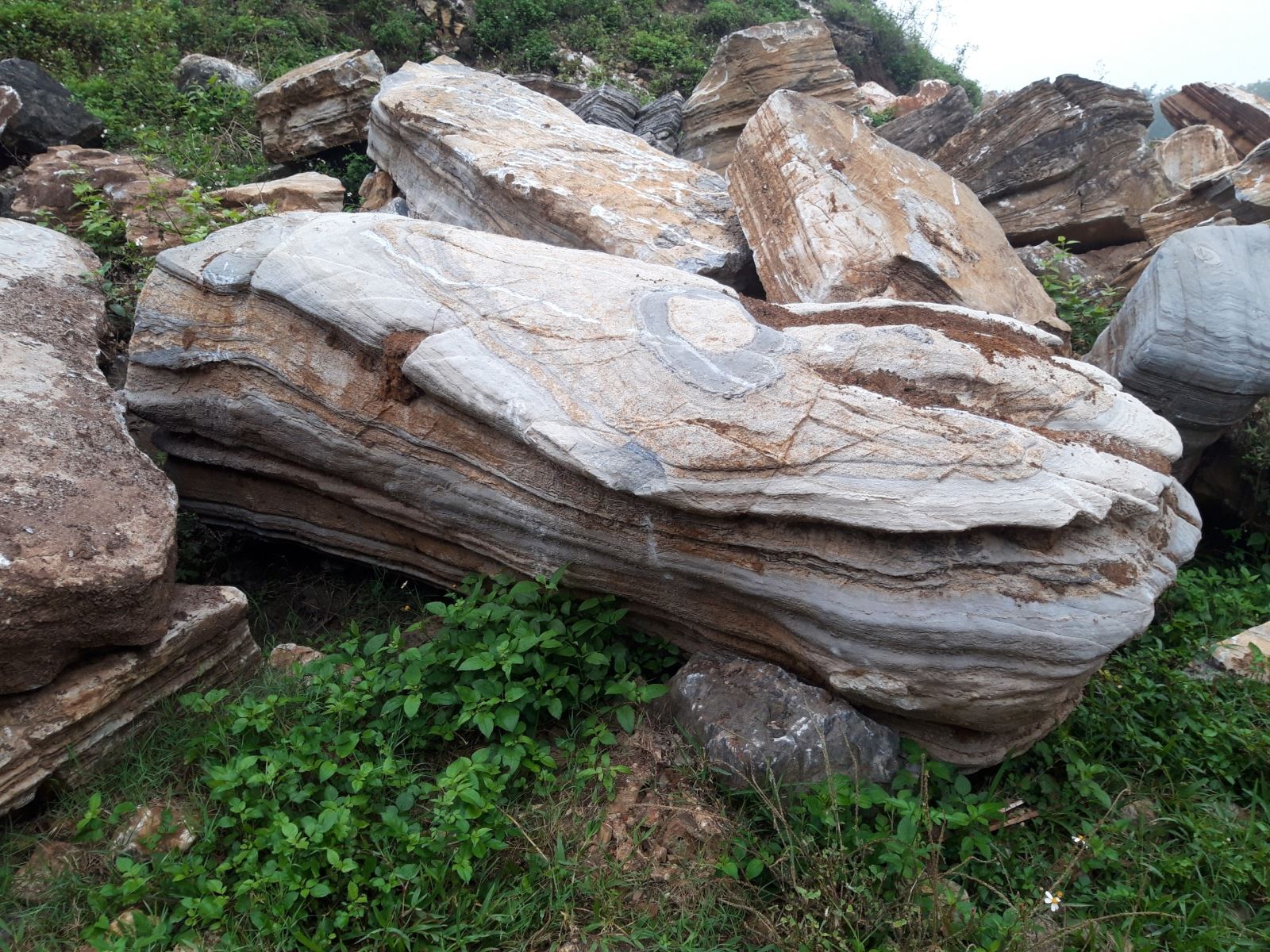 đá cổ thạch đẹp tại Tp Nha Trang