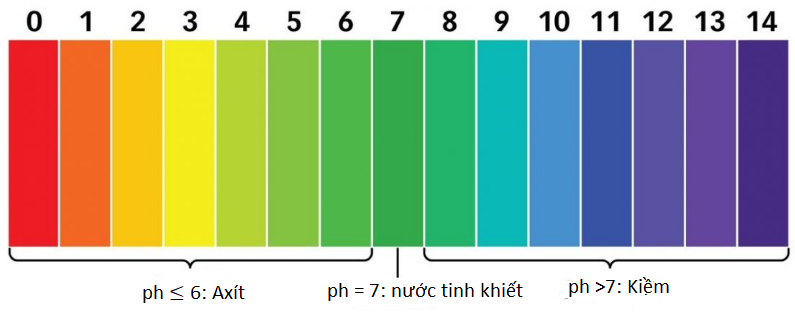 Thông Tin Về Độ pH Hồ Cá Koi