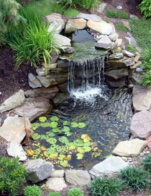 Ý tưởng thác nước ao vườn cho sân sau của bạn